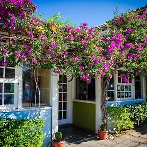 Salvia Geribá Fishbone Zone Búzios